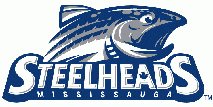 Mississauga Steelheads 2012 13-2014 15 Primary Logo vinyl decal